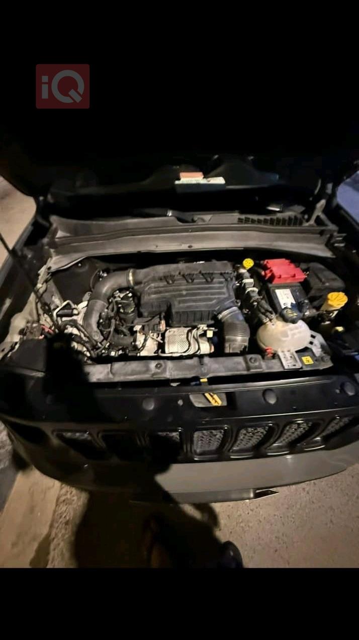 جيب رينيجيد